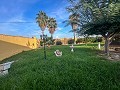 Spacious 5 Bedroom Villa in Dolores in Alicante Dream Homes Castalla 