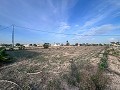 Spacious 5 Bedroom Villa in Dolores in Alicante Dream Homes Castalla 