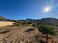 Villa con Vistas Panoramicas y con Todas las Comodidades a Solo un Paso in Alicante Dream Homes Castalla 