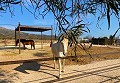 Preciosa Casa Rural con Piscina en Pinoso in Alicante Dream Homes Castalla 
