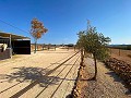 Preciosa Casa Rural con Piscina en Pinoso in Alicante Dream Homes Castalla 