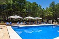 Casa de campo de 9 habitaciones in Alicante Dream Homes Castalla 
