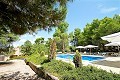 Casa de campo de 9 habitaciones in Alicante Dream Homes Castalla 