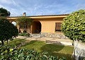 Incroyable villa de 3 chambres à Sax in Alicante Dream Homes Castalla 