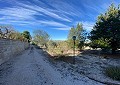  CountryHouse in Sax with 28.000m2 Plot in Alicante Dream Homes Castalla 
