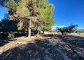  CountryHouse in Sax with 28.000m2 Plot in Alicante Dream Homes Castalla 