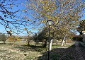  CountryHouse in Sax with 28.000m2 Plot in Alicante Dream Homes Castalla 