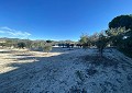  CountryHouse in Sax with 28.000m2 Plot in Alicante Dream Homes Castalla 