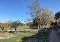  CountryHouse in Sax with 28.000m2 Plot in Alicante Dream Homes Castalla 