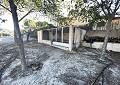  CountryHouse in Sax with 28.000m2 Plot in Alicante Dream Homes Castalla 