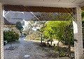  CountryHouse in Sax with 28.000m2 Plot in Alicante Dream Homes Castalla 