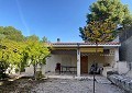  CountryHouse in Sax with 28.000m2 Plot in Alicante Dream Homes Castalla 