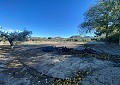  CountryHouse in Sax with 28.000m2 Plot in Alicante Dream Homes Castalla 