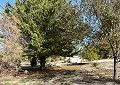  CountryHouse in Sax with 28.000m2 Plot in Alicante Dream Homes Castalla 