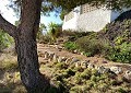 Villa in Sax with Incredible Views in Alicante Dream Homes Castalla 