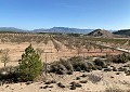 Villa in Sax with Incredible Views in Alicante Dream Homes Castalla 