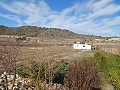 Unglaubliche moderne Villa in Canada de la Lena in Alicante Dream Homes Castalla 