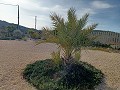 Unglaubliche moderne Villa in Canada de la Lena in Alicante Dream Homes Castalla 