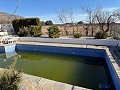 Villa with Pool in Caudete in Alicante Dream Homes Castalla 