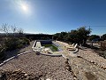 Villa with Pool in Caudete in Alicante Dream Homes Castalla 