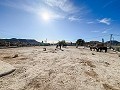Charmante Villa mit Sommerküche und Gästehaus, 15 Minuten vom Strand entfernt in Alicante Dream Homes Castalla 