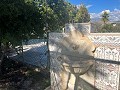 Fabelhaftes Landhaus mit privatem Pool in Alicante Dream Homes Castalla 