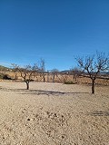Prachtige villa met 3 slaapkamers en 2 badkamers in Canada del Trigo in Alicante Dream Homes Castalla 