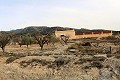 Lovely Country House in Sax in Alicante Dream Homes Castalla 