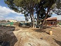 Villa mit 4 Schlafzimmern und 2 Badezimmern und Holzhaus mit 4 Schlafzimmern und 2 Bädern zu verkaufen in La Romana. in Alicante Dream Homes Castalla 