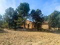 Herrlicher netzunabhängiger Reiterhof in Almansa in Alicante Dream Homes Castalla 