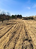 Herrlicher netzunabhängiger Reiterhof in Almansa in Alicante Dream Homes Castalla 