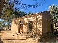 Herrlicher netzunabhängiger Reiterhof in Almansa in Alicante Dream Homes Castalla 