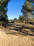 Herrlicher netzunabhängiger Reiterhof in Almansa in Alicante Dream Homes Castalla 