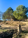 Herrlicher netzunabhängiger Reiterhof in Almansa in Alicante Dream Homes Castalla 