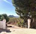 Exclusive Off-Grid Villa on the Top of the Mountain in Villena in Alicante Dream Homes Castalla 