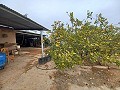 Landhuis te koop nabij La Romana in Alicante Dream Homes Castalla 