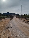 Terreno en Venta  con olivos en La Romana. in Alicante Dream Homes Castalla 