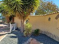 Schöne Villa mit 3 Schlafzimmern und 2 Bädern in Aspe in Alicante Dream Homes Castalla 