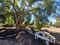 Schöne Villa mit 3 Schlafzimmern und 2 Bädern in Aspe in Alicante Dream Homes Castalla 