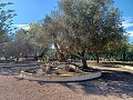 Schöne Villa mit 3 Schlafzimmern und 2 Bädern in Aspe in Alicante Dream Homes Castalla 