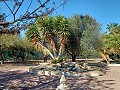 Schöne Villa mit 3 Schlafzimmern und 2 Bädern in Aspe in Alicante Dream Homes Castalla 