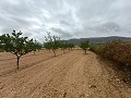  Charmante maison de campagne in Alicante Dream Homes Castalla 