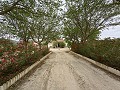  Charmante maison de campagne in Alicante Dream Homes Castalla 