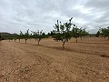  Charmante maison de campagne in Alicante Dream Homes Castalla 
