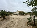  Charmante maison de campagne in Alicante Dream Homes Castalla 