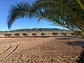 Beautiful Country home in Yecla in Alicante Dream Homes Castalla 