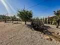 Stunning new build villas  in Alicante Dream Homes Castalla 