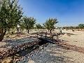 Stunning new build villas  in Alicante Dream Homes Castalla 