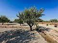 Stunning new build villas  in Alicante Dream Homes Castalla 