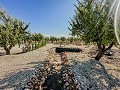 Stunning new build villas  in Alicante Dream Homes Castalla 